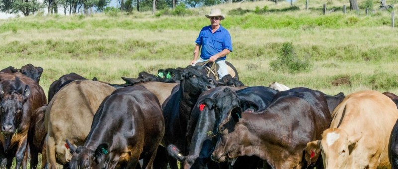 Paul Wright - Chair of the Implementation Committee