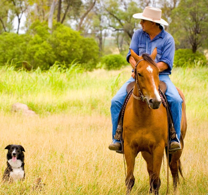 Paul Wright mustering Woongarra (2)